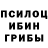 Псилоцибиновые грибы прущие грибы Yaratganim Allohim
