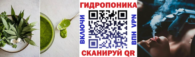 Печенье с ТГК конопля  продажа наркотиков  Бирск 