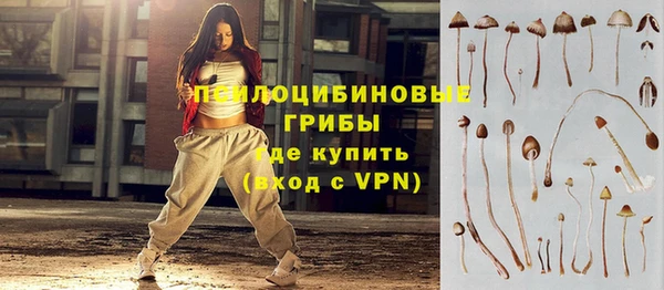 молекула духа Алексеевка