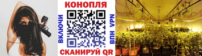 Бошки марихуана планчик  где найти   Бирск 